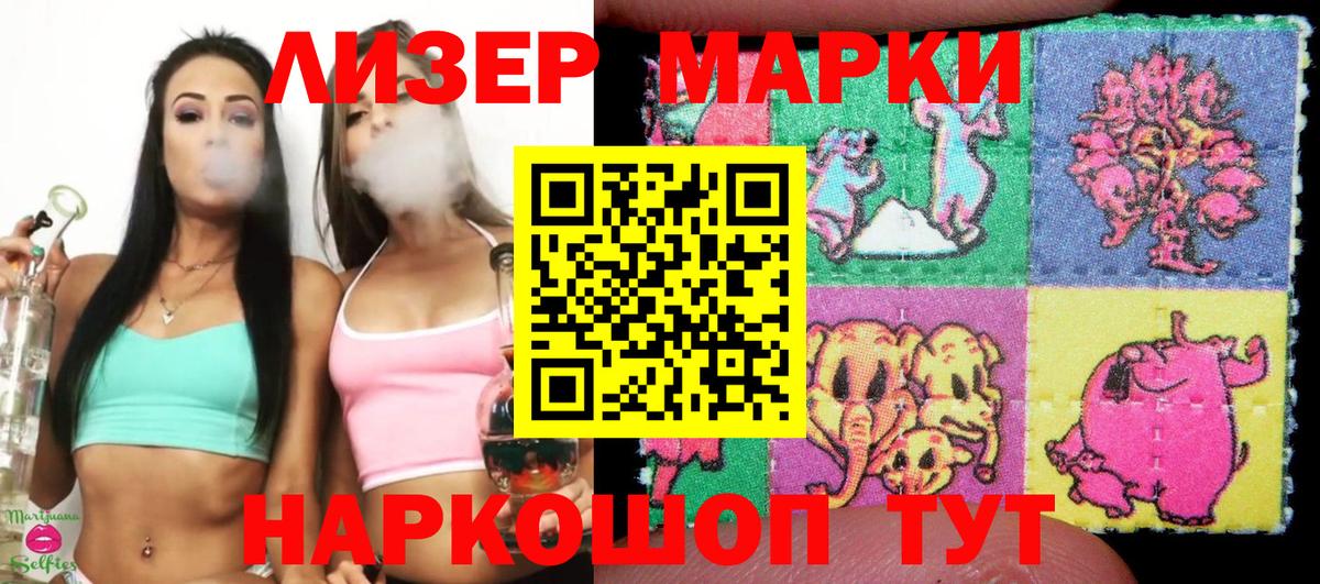 Дальнегорск  Наркотические марки 1500мкг  купить наркоту  Вход с VPN  Наркотические марки 1500мкг 