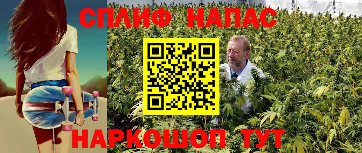 Бошки Шишки LSD WEED  Конопля планчик  Шишки марихуана сатива  Дальнегорск  Вход с VPN 